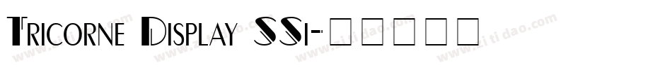 Tricorne Display SSi字体转换